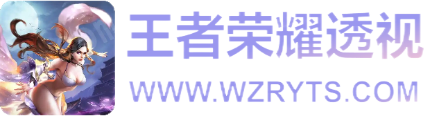 王者荣耀透视网